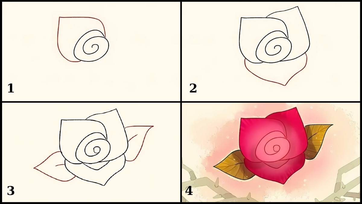 Vẽ hoa hồng hình ốc xoắn