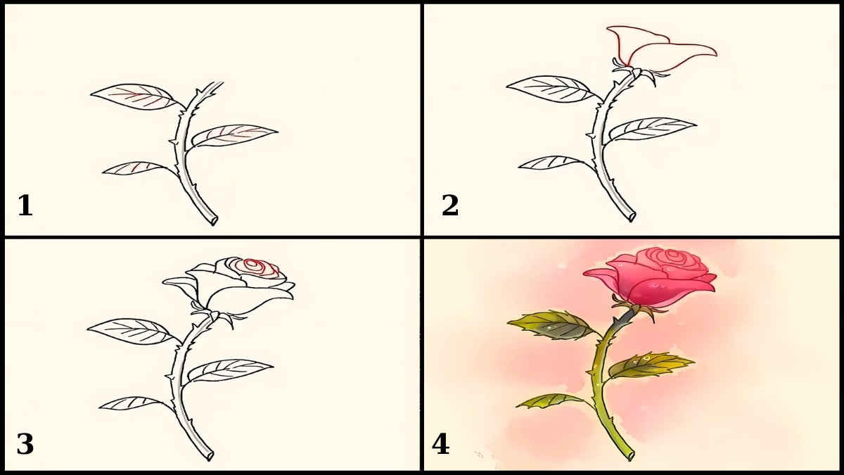 Cách vẽ hoa hồng nghiêng có thân và lá đầy đủ