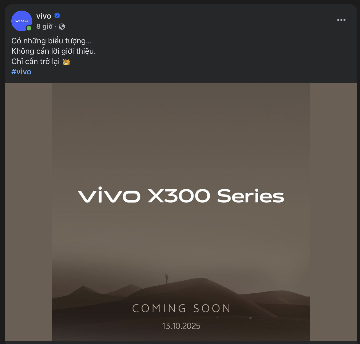 Vivo X300 Series Vivo X300 Series