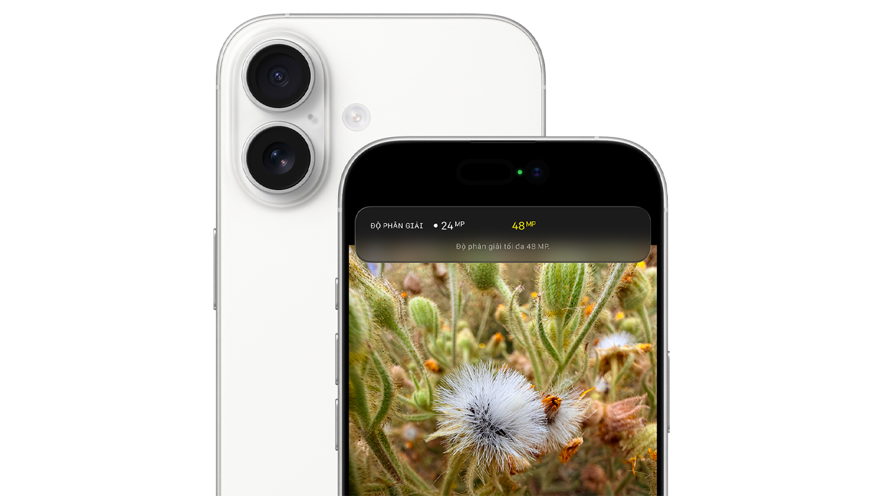 Hình ảnh iPhone 17 Hình ảnh iPhone 17