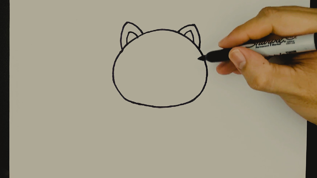 Bước 1: Vẽ khuôn mặt mèo Bước 1: Vẽ khuôn mặt mèo