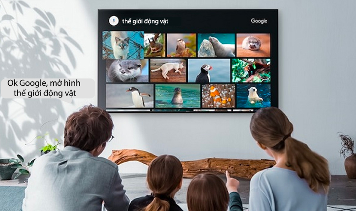 Điều khiển bằng giọng nói rảnh tay Hands-free voice search