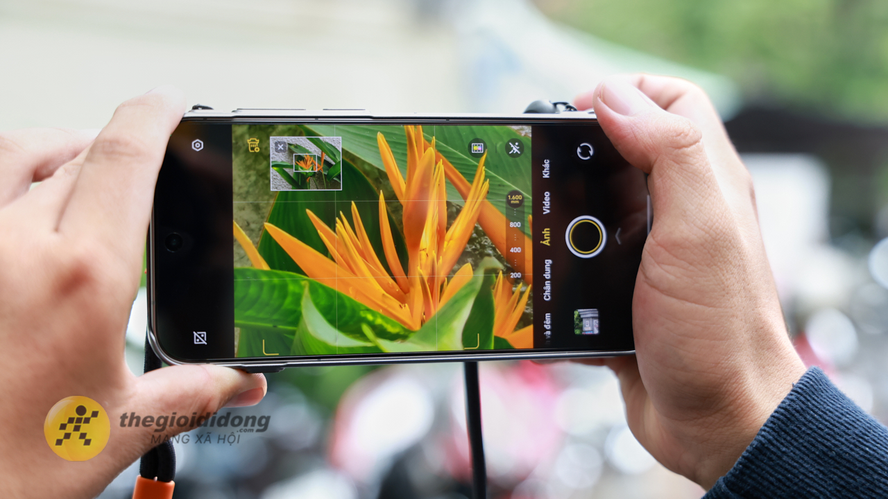 Trên Tay Vivo X300 Pro Tại Việt Nam Và Bộ Photographer Kit Đầy Đủ Trên Tay Vivo X300 Pro Tại Việt Nam Và Bộ Photographer Kit Đầy Đủ