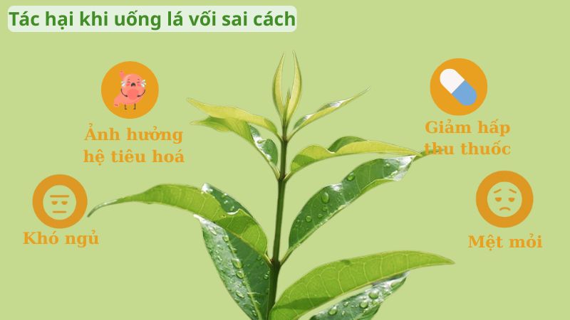 Tác hại có thể gặp khi uống nước lá vối sai cách