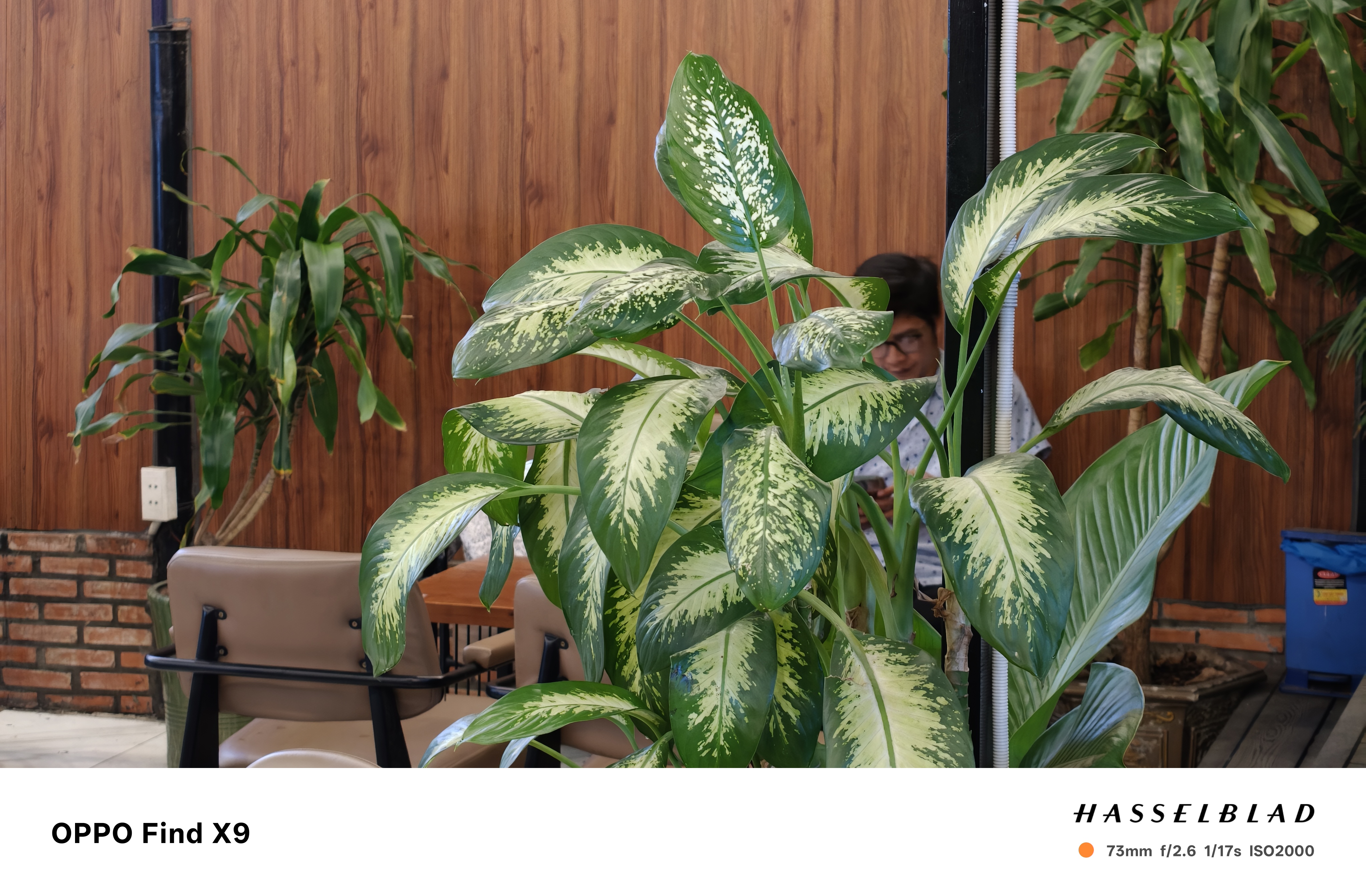 Trên Tay Oppo Find X9: Thiết Kế Cao Cấp, Camera Hasselblad 50 Mp, Pin Khủng 7.025 Mah