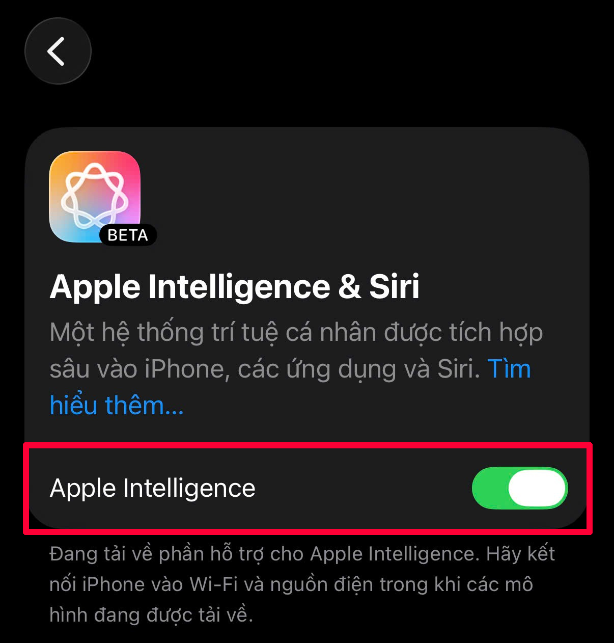 Cách Bật Apple Intelligence Tiếng Việt Trên Iphone