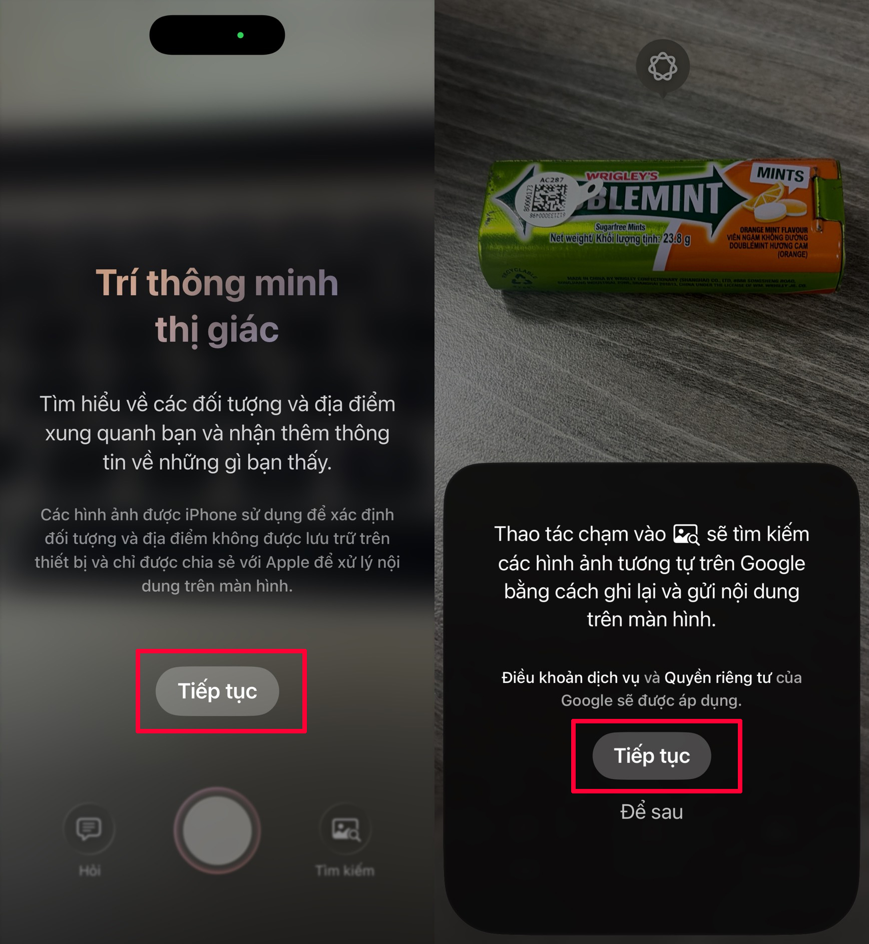 Cách sử dụng Visual Intelligence trên iPhone Cách sử dụng Visual Intelligence trên iPhone