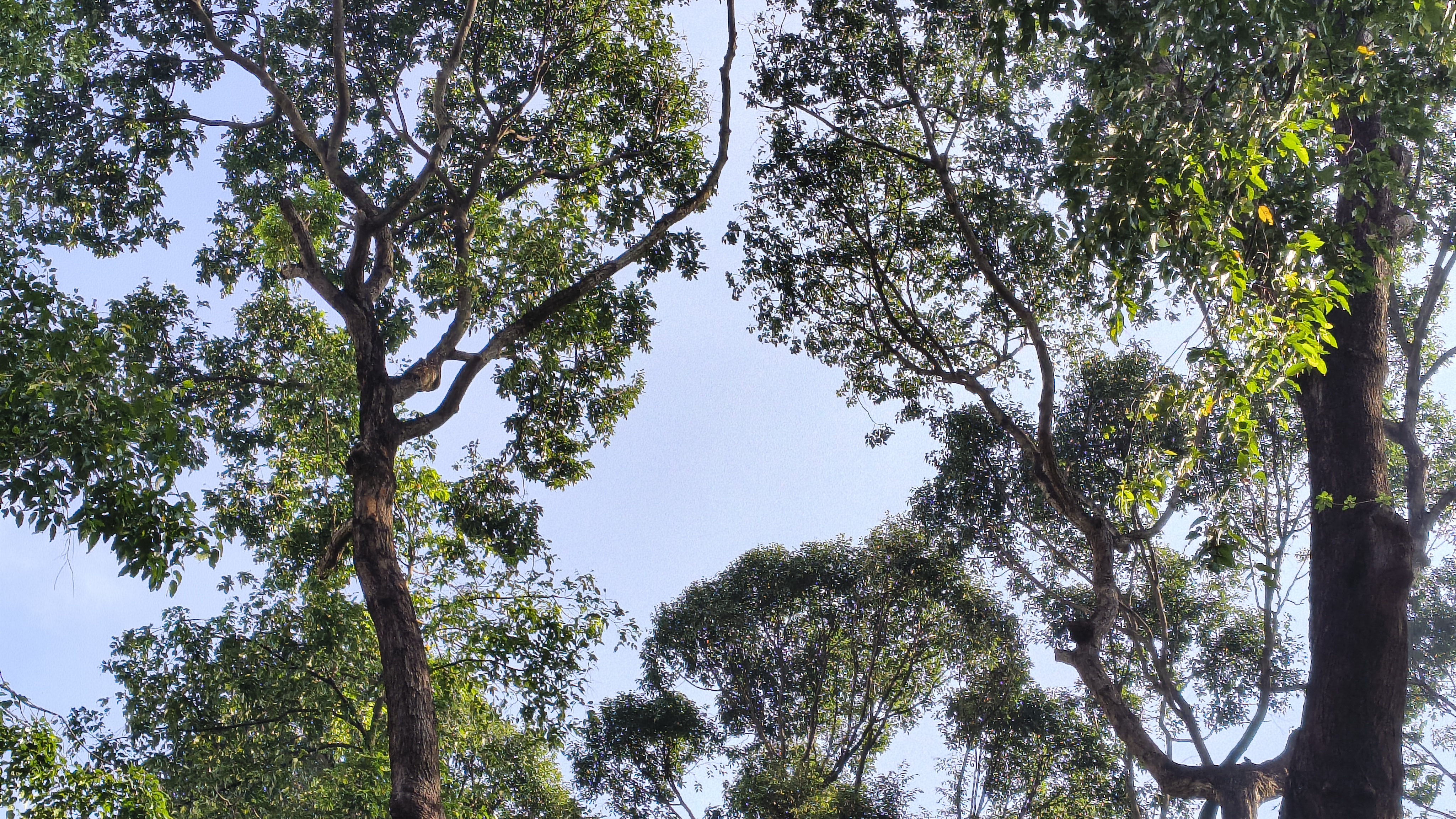 Trên tay motorola G85 Power 5G: Giá cực tốt, màn hình P-OLED 1.5k và Dimensity 7300 mạnh mẽ