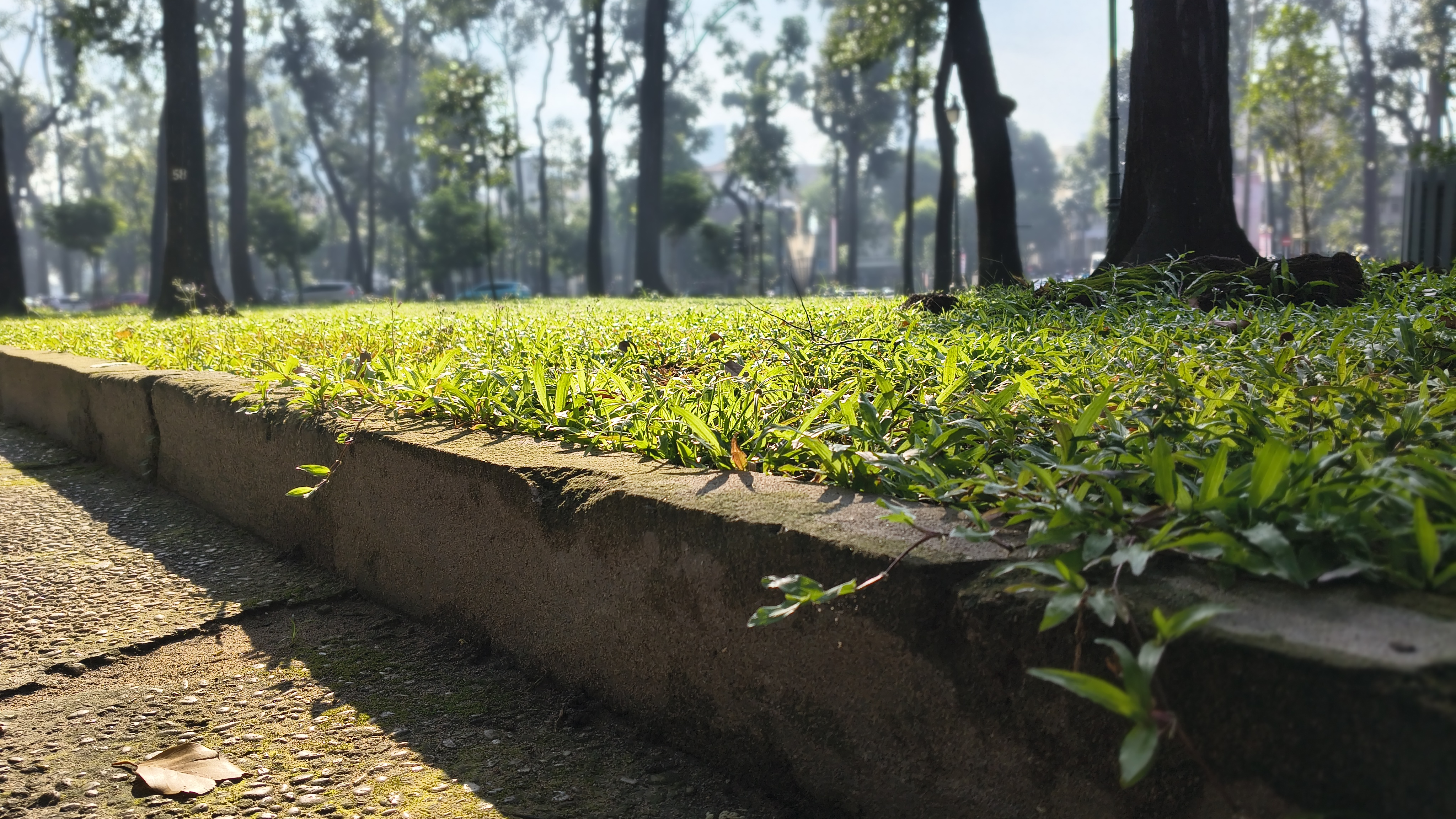 Trên tay motorola G85 Power 5G: Giá cực tốt, màn hình P-OLED 1.5k và Dimensity 7300 mạnh mẽ