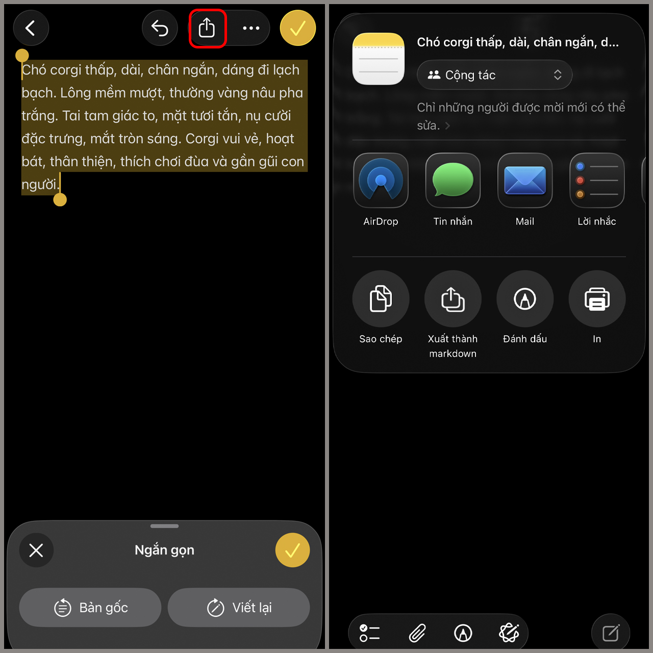 Công cụ viết là gì Công cụ viết là gì
