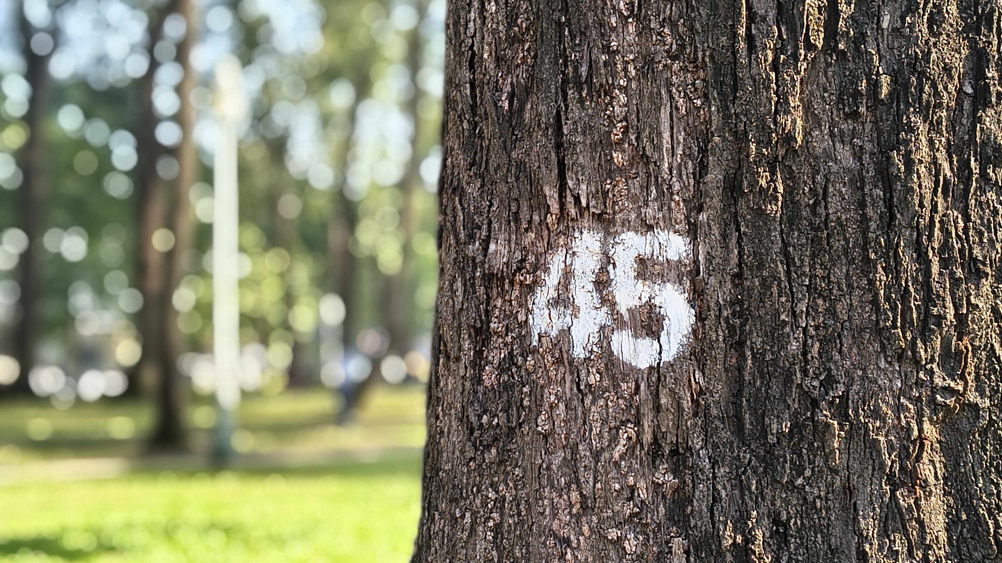 Trên Tay Motorola Edge 60 Fusion: Thiết Kế Cong Tràn, Màn Hình P-Oled Xuất Sắc, Chip Dimensity 7400 Mạnh Mẽ Trên Tay Motorola Edge 60 Fusion: Thiết Kế Cong Tràn, Màn Hình P-Oled Xuất Sắc, Chip Dimensity 7400 Mạnh Mẽ