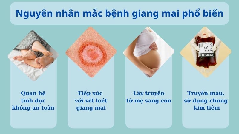 Nguyên nhân mắc bệnh giang mai phổ biến Nguyên nhân mắc bệnh giang mai phổ biến