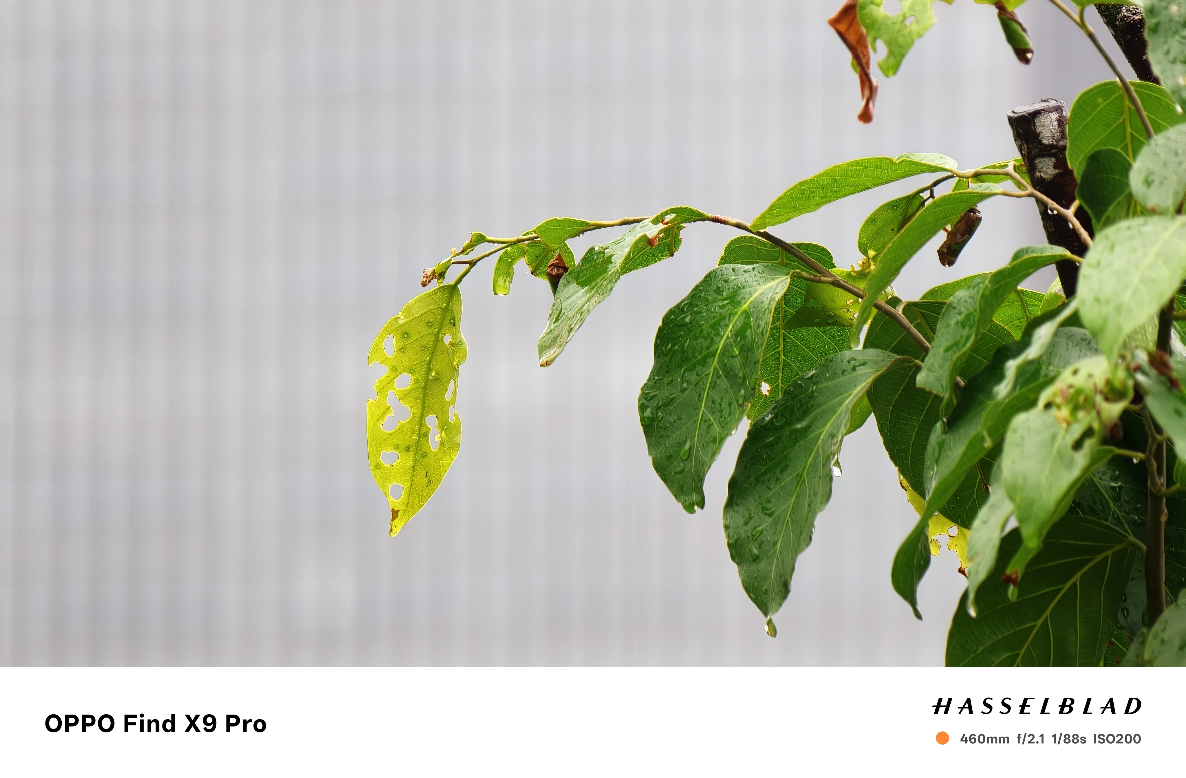 Đánh giá OPPO Find X9 Pro: Thiết kế đẹp, cấu hình mạnh mẽ, hệ thống camera Hasselblad đỉnh cao