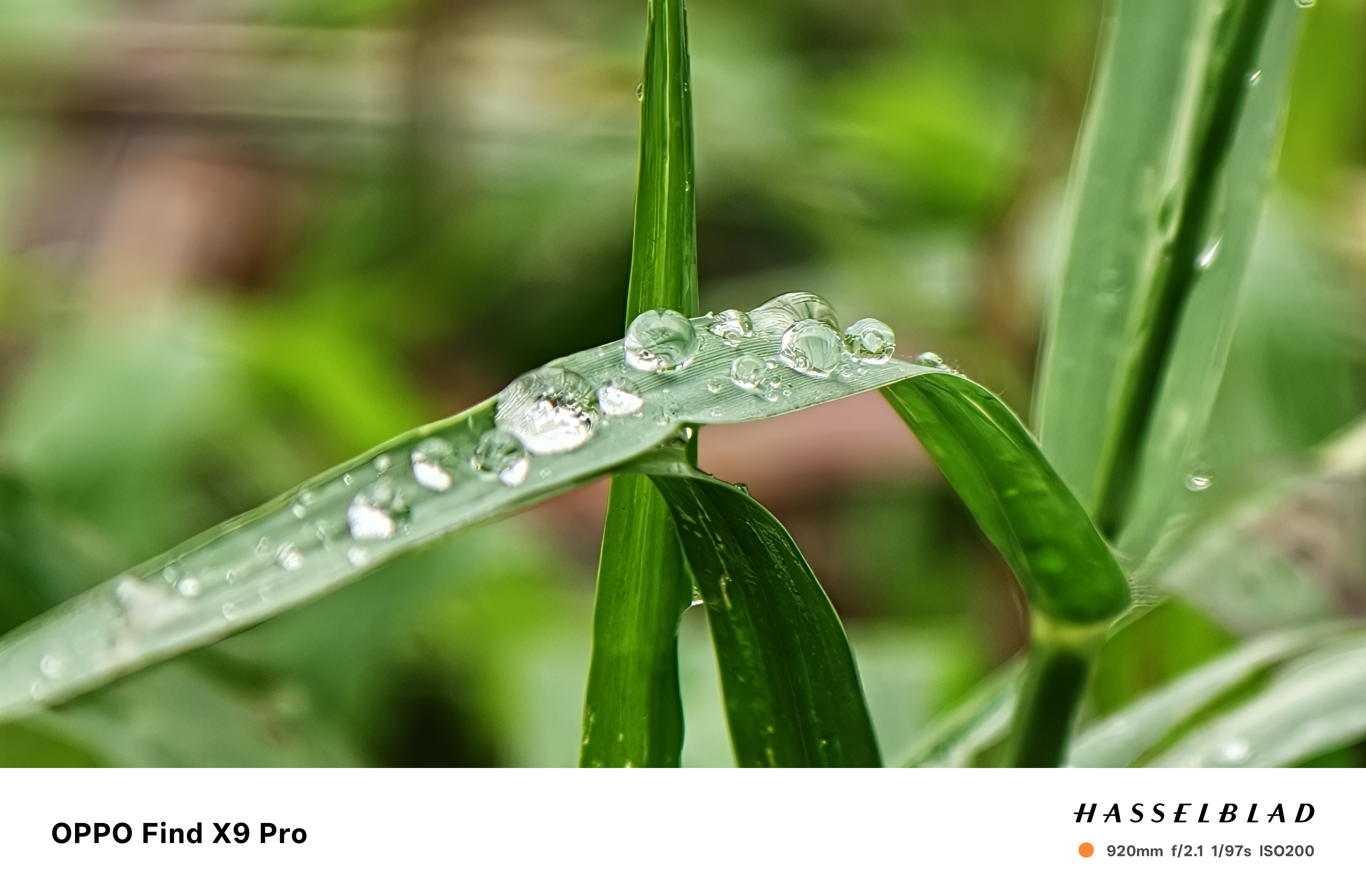 Đánh giá OPPO Find X9 Pro: Thiết kế đẹp, cấu hình mạnh mẽ, hệ thống camera Hasselblad đỉnh cao