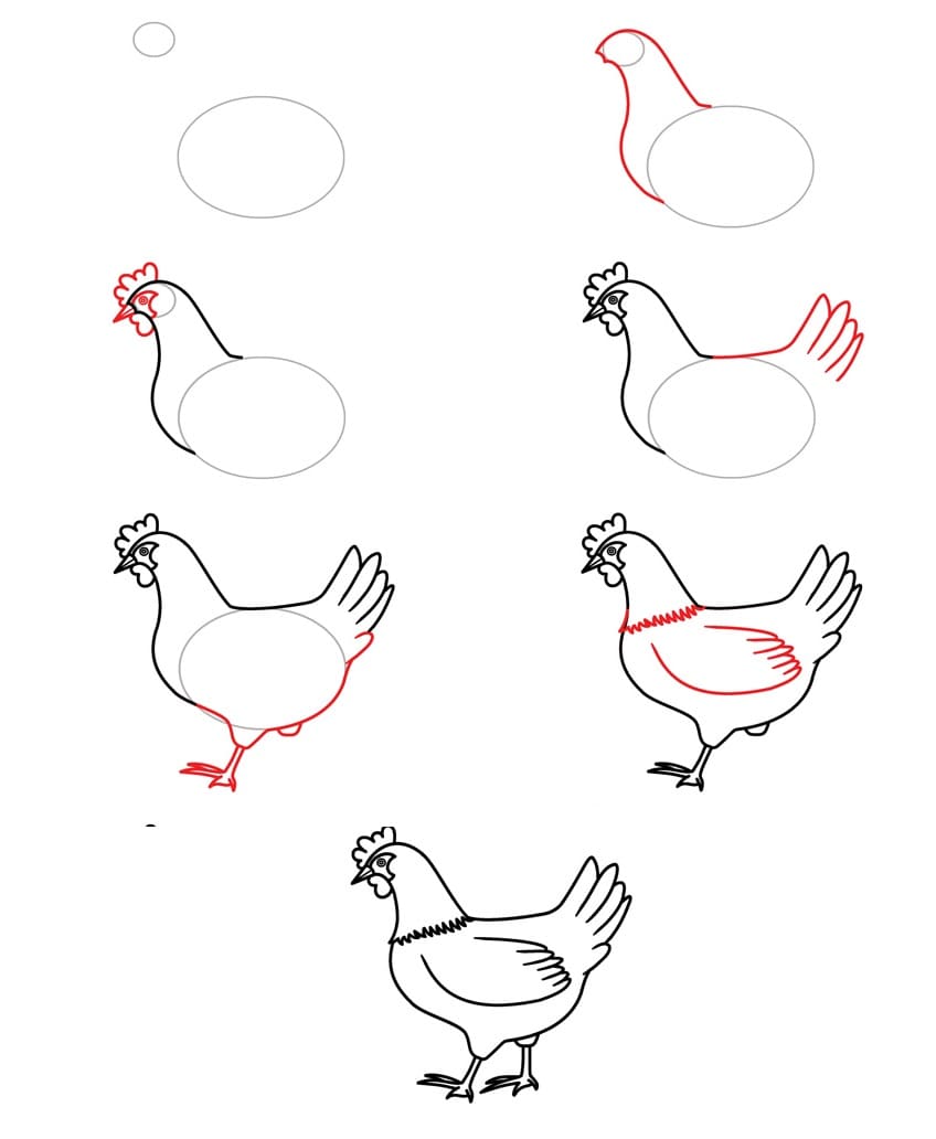 Cách 6: Vẽ con gà mái