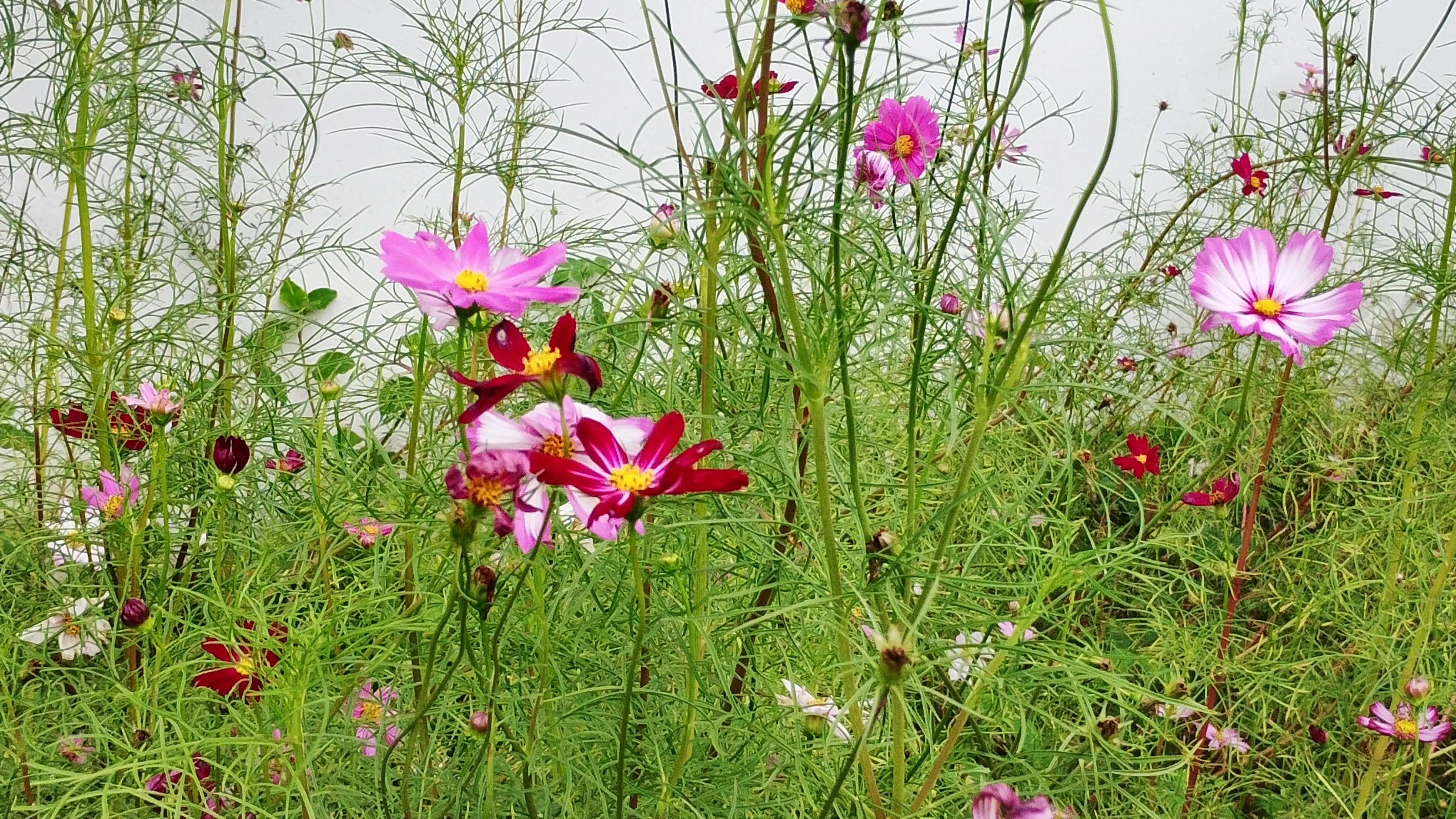 Trên tay nhanh Motorola G35 5G: Giá hấp dẫn, màn hình mượt mà và hiệu năng ổn định