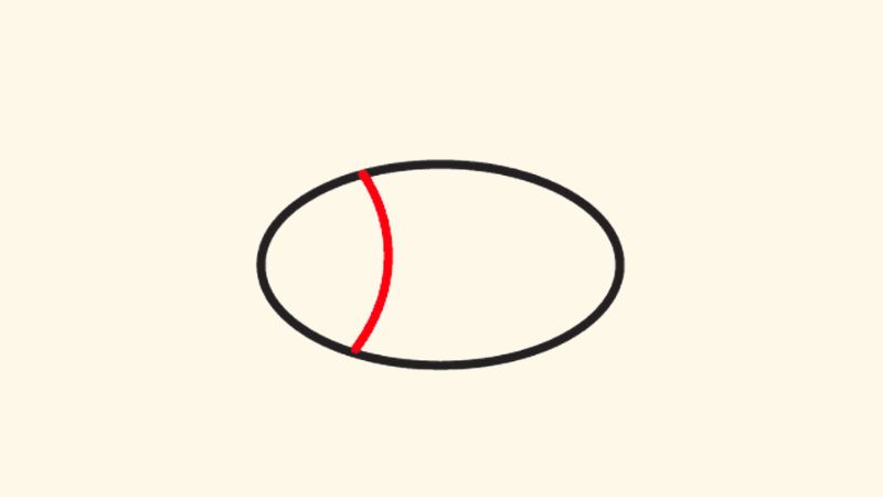 Bước 1: Vẽ thân cá