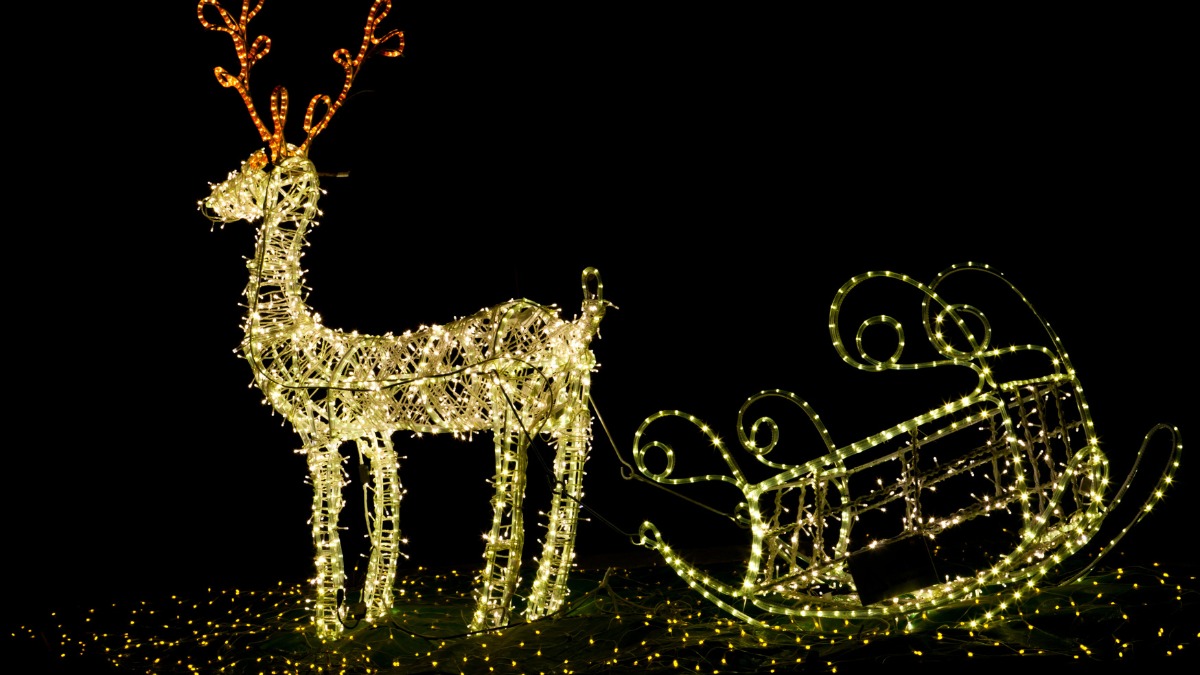 Background Noel hình chú tuần lộc đẹp