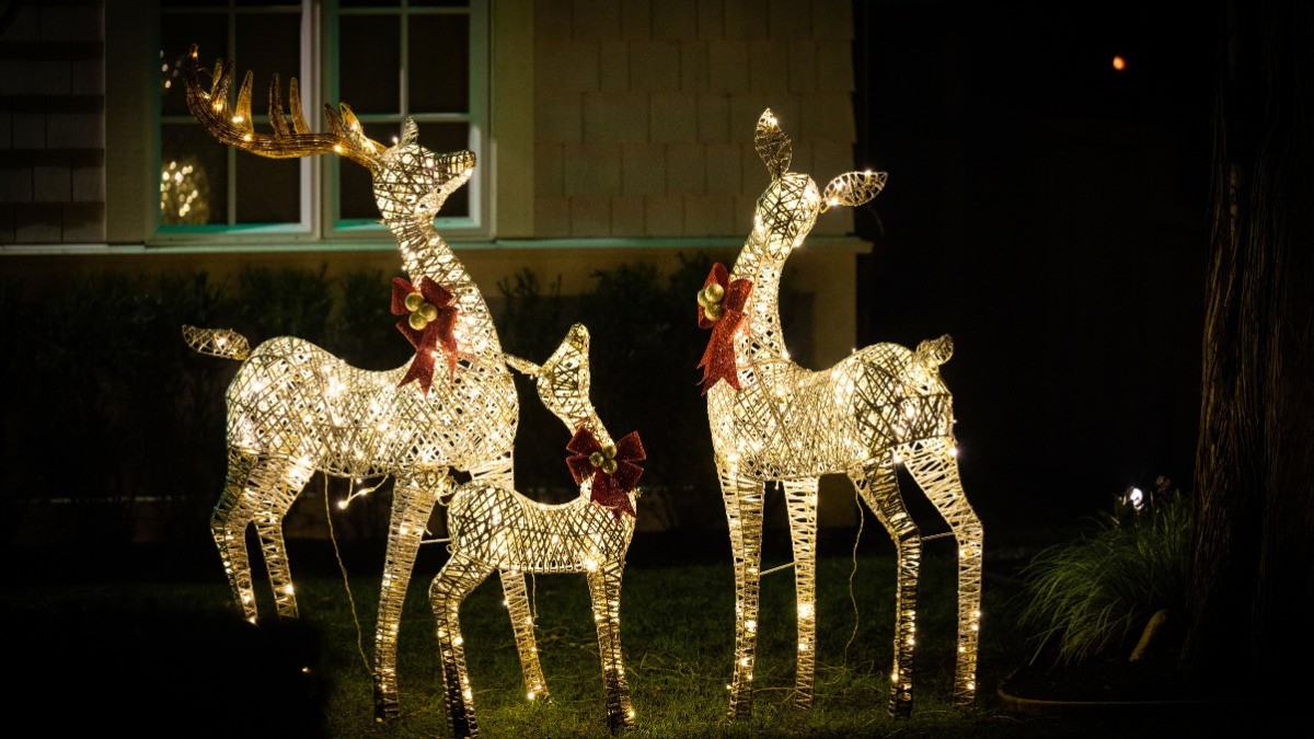 Background Noel hình chú tuần lộc đẹp