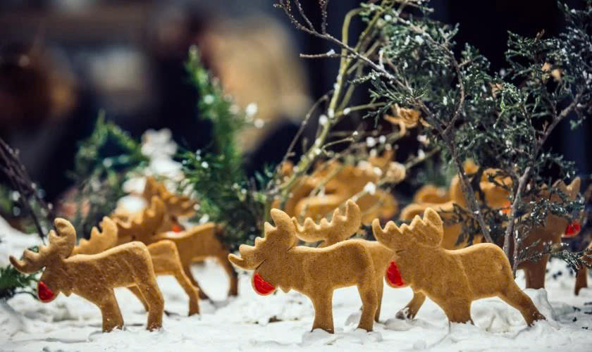 Background Noel hình chú tuần lộc đẹp