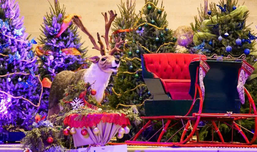 Background Noel hình chú tuần lộc đẹp