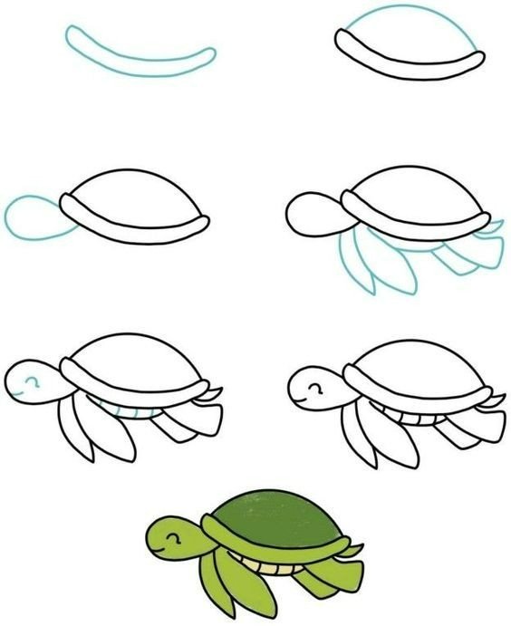 Cách vẽ con rùa dễ nhất