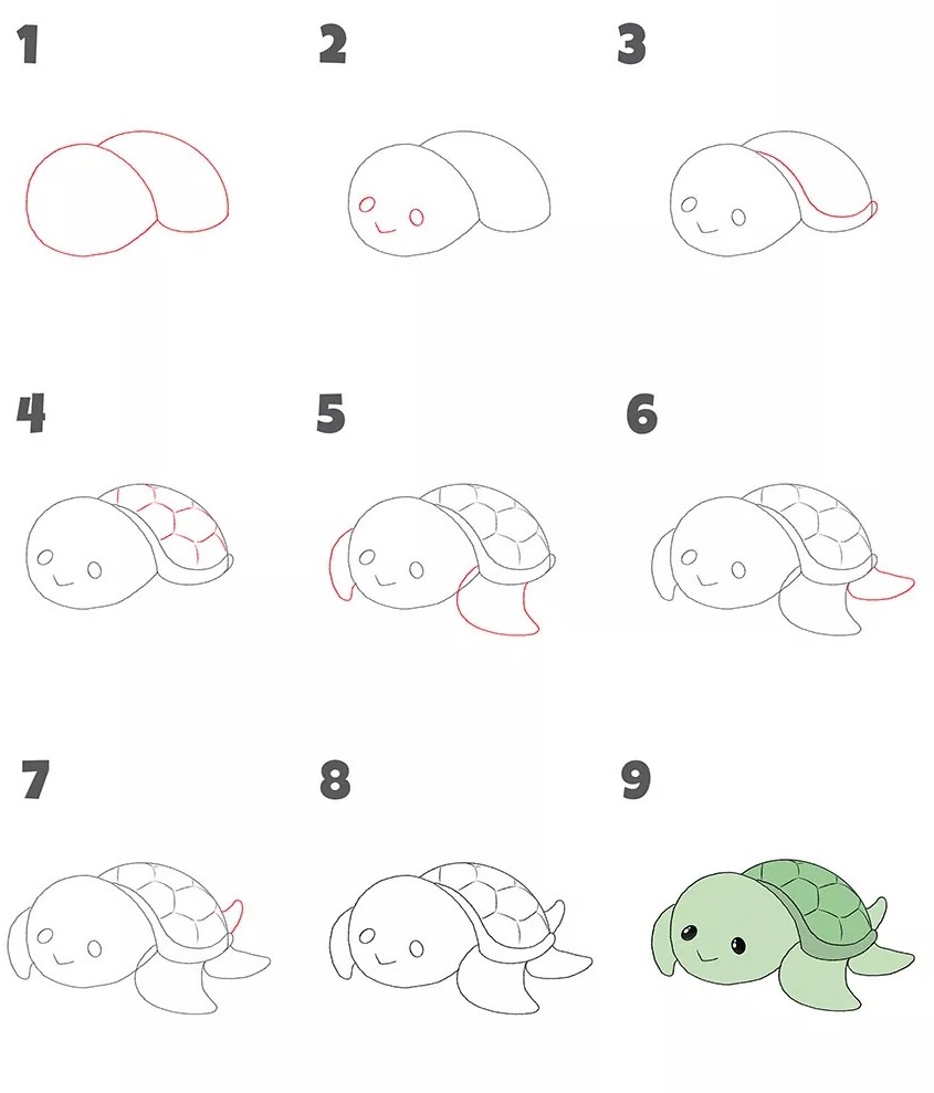 Vẽ con rùa chibi