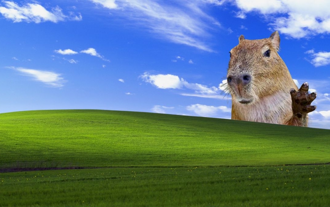 H&igrave;nh nền Capybara v&ocirc; tri