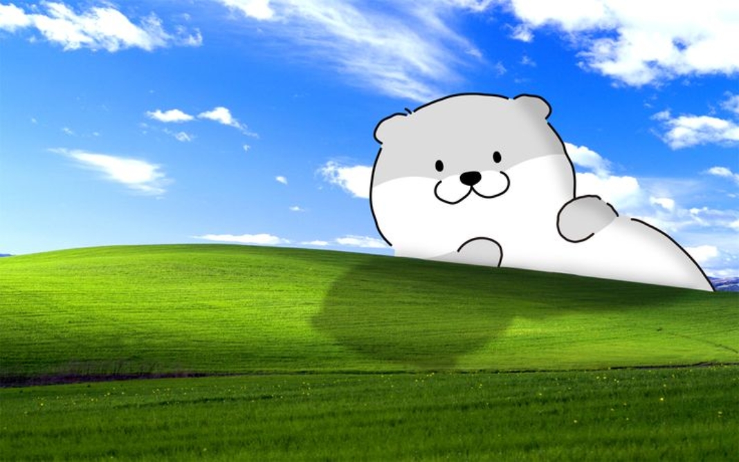 Ch&uacute; gấu nằm tr&ecirc;n b&atilde;i cỏ v&ocirc; tri cute