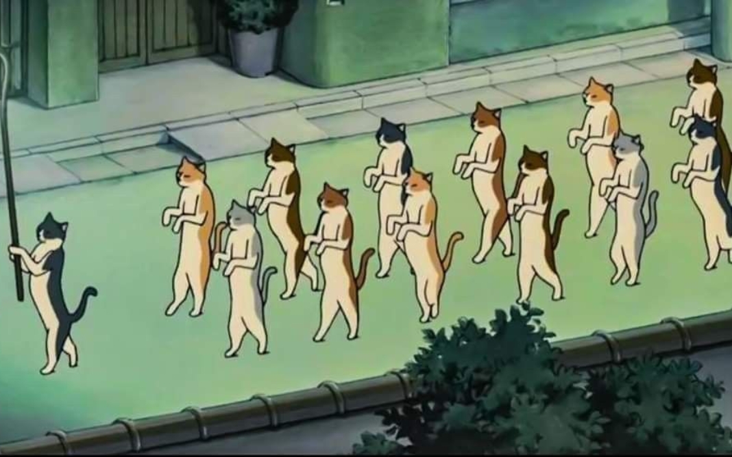 H&igrave;nh nền đ&agrave;n m&egrave;o v&ocirc; tri