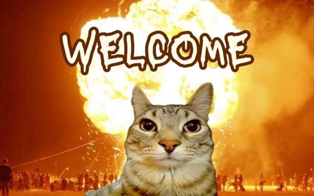 H&igrave;nh nền m&egrave;o n&oacute;ng giận v&ocirc; tri