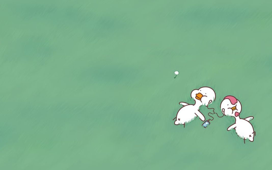 Vịt tr&ecirc;n b&atilde;i cỏ cực chill