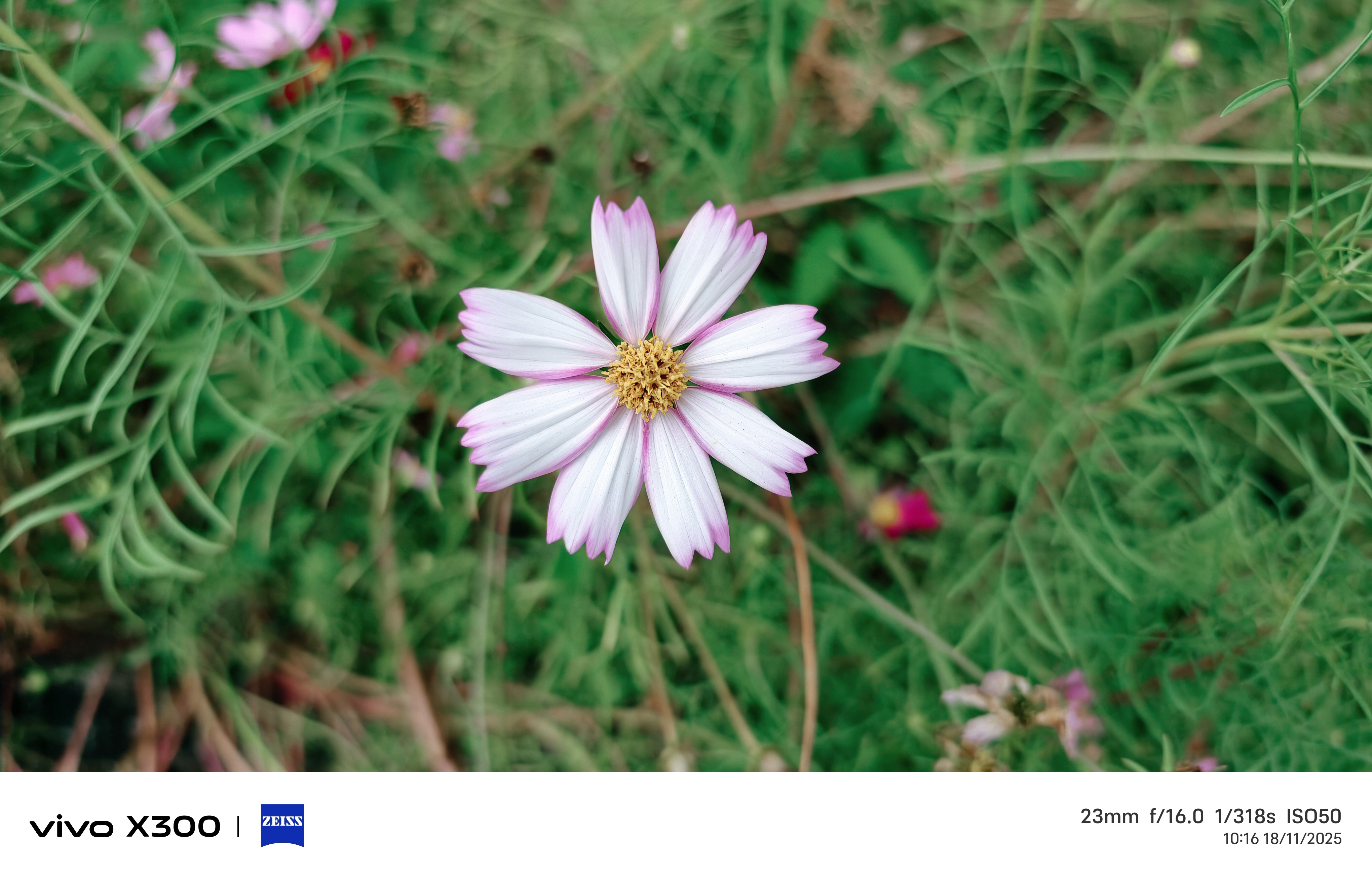 Trên tay vivo X300 5G: Flagship nhỏ gọn đỉnh cao với Dimensity 9500, camera Zeiss 200 MP Trên tay vivo X300 5G: Flagship nhỏ gọn đỉnh cao với Dimensity 9500, camera Zeiss 200 MP