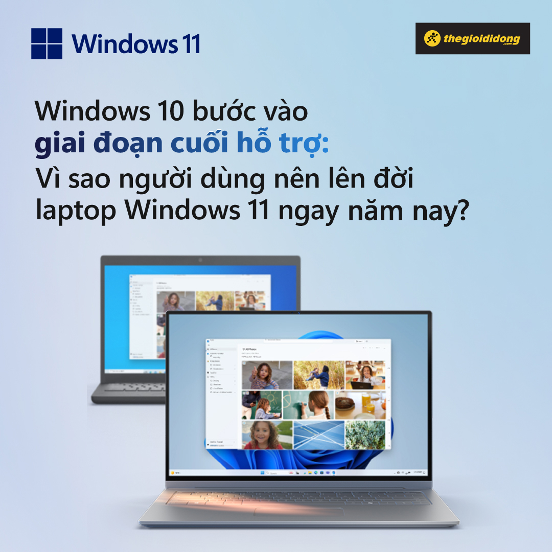 Windows 11