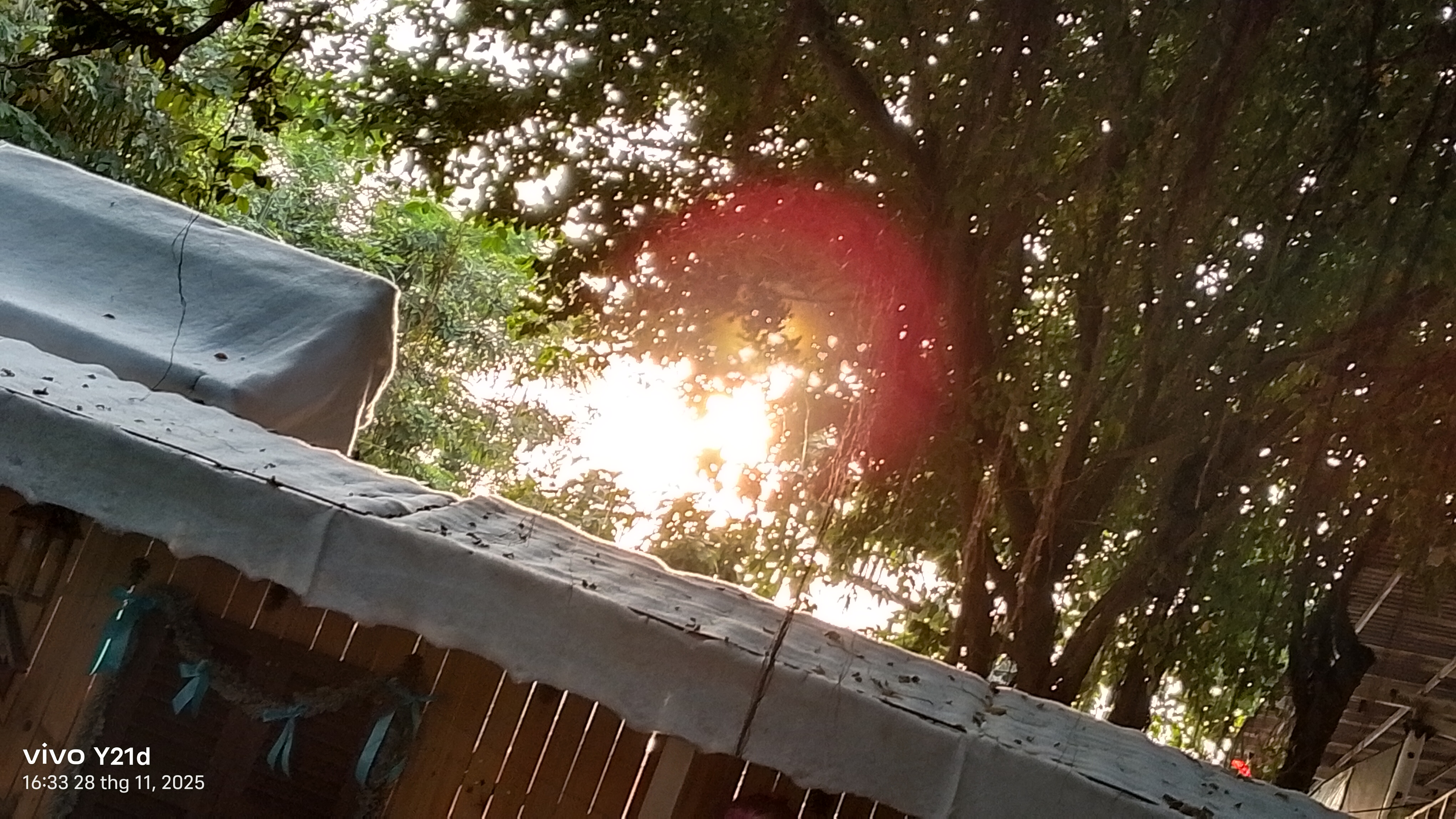 Trên Tay Vivo Y21D: Thiết Kế Trẻ Trung Với Camera 50 Mp, Pin 6.500 Mah