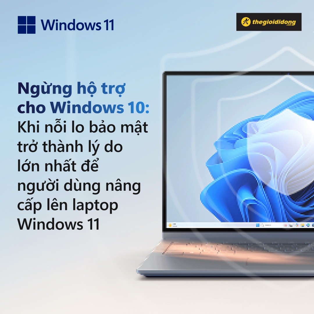 Windows 11