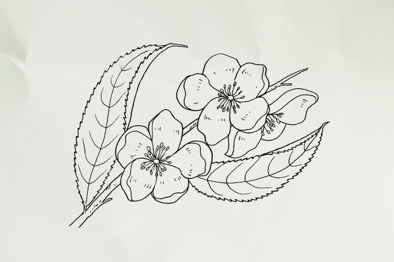 Bước 4: Vẽ cành và lá