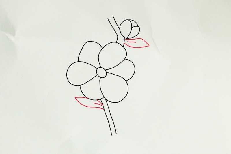 Bước 2: Vẽ nhụy hoa