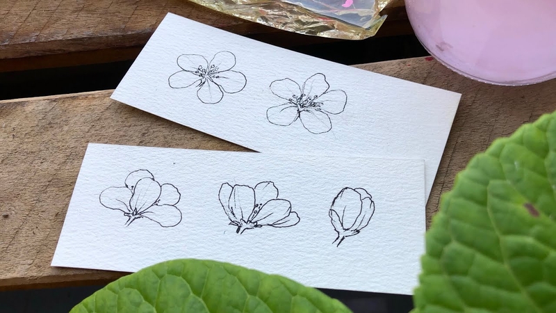 Bước 3: Vẽ thêm nhiều bông hoa với các trạng thái khác nhau