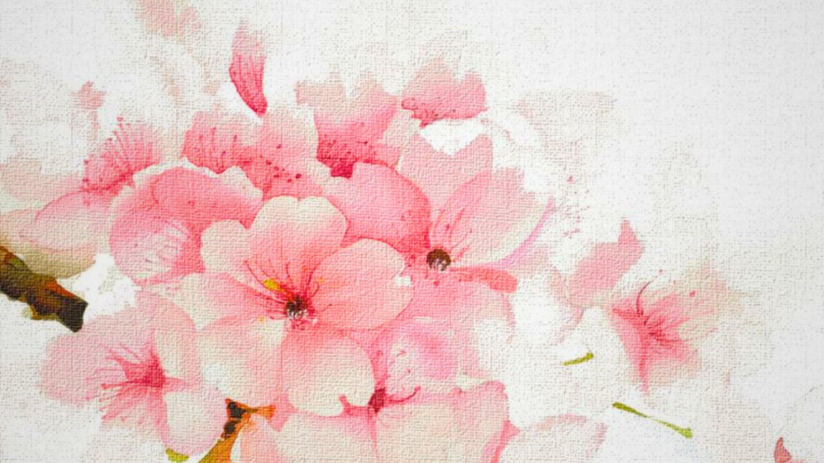 Mẫu tranh vẽ hoa đào đẹp nhất