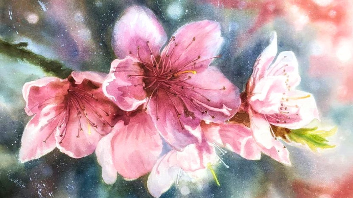 Mẫu tranh vẽ hoa đào đẹp nhất