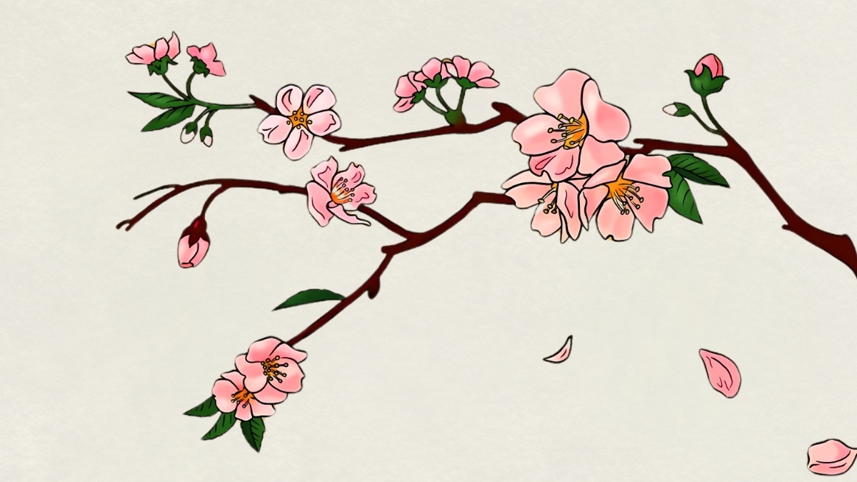 Mẫu tranh vẽ hoa đào đẹp nhất
