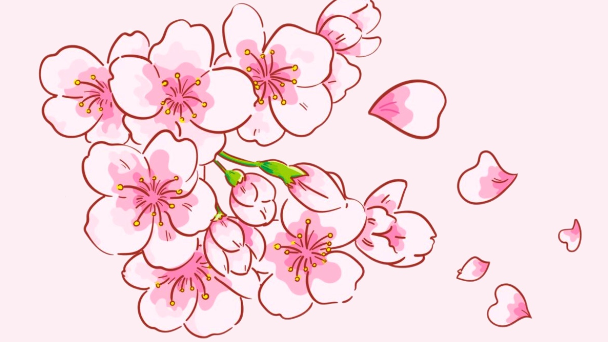 Mẫu tranh vẽ hoa đào đẹp nhất