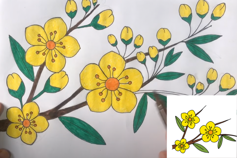 Bước 4: Tô màu hoàn chỉnh Bước 4: Tô màu hoàn chỉnh