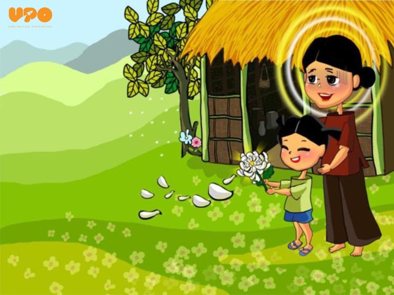 Hoa cúc trắng Hoa cúc trắng