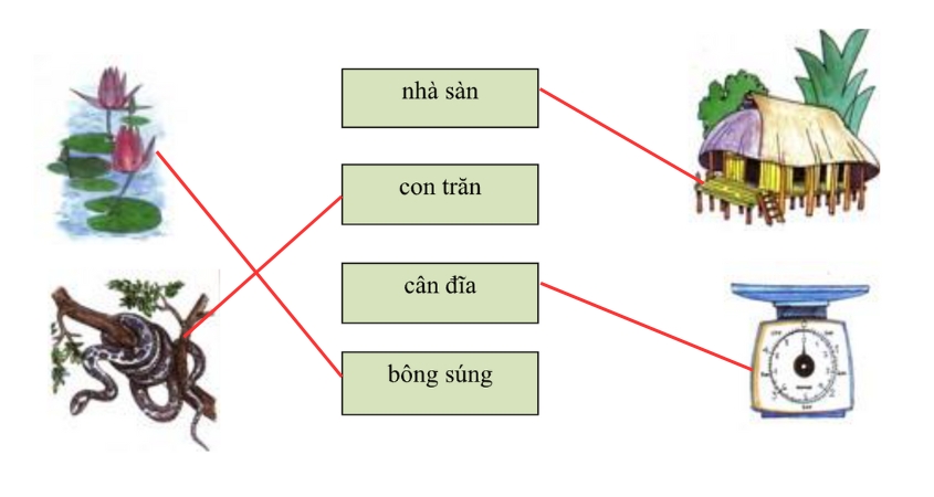 Đáp án câu nối hình