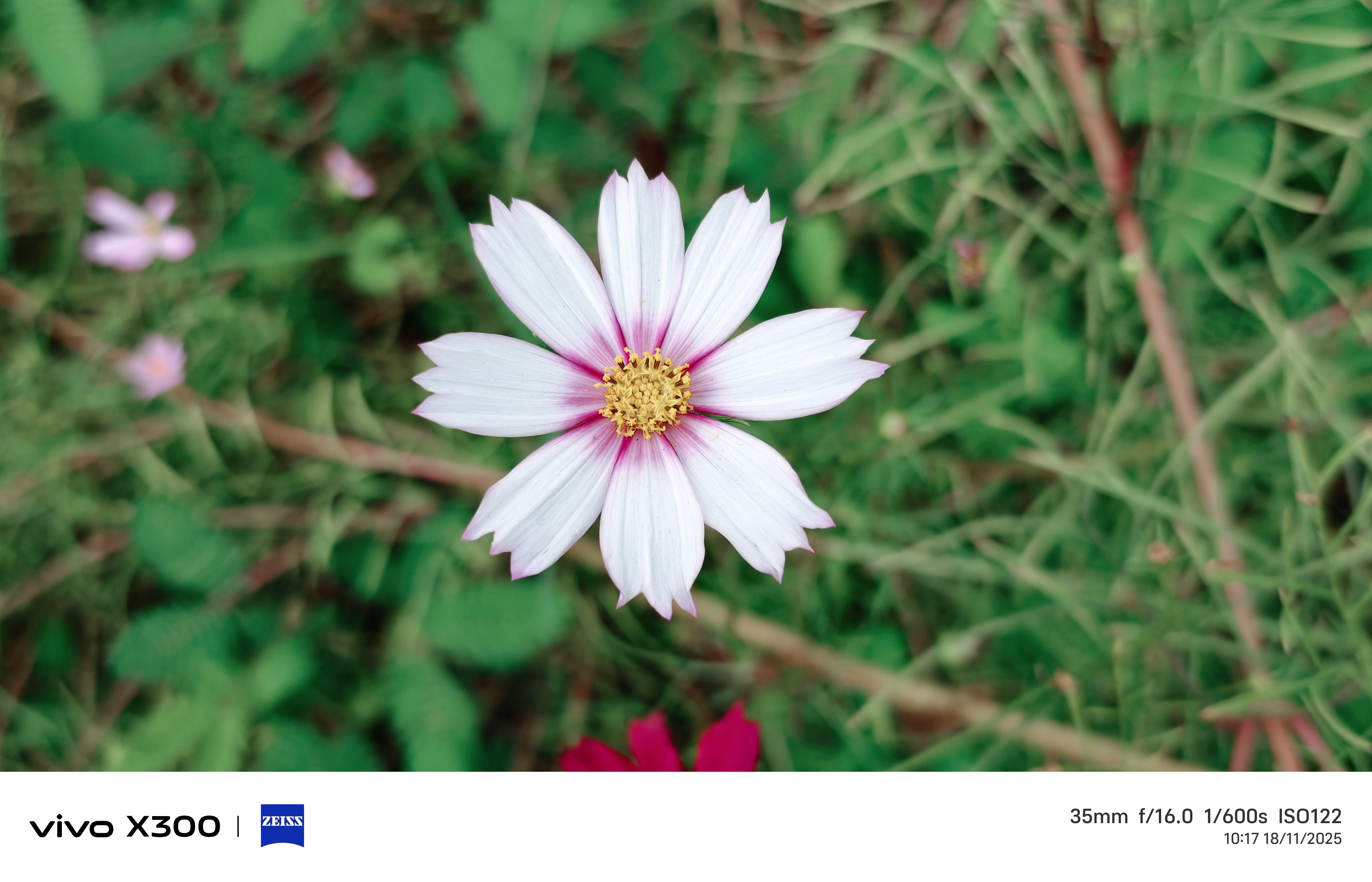 Đánh Giá Chi Tiết Vivo X300 5G Sau 1 Tuần: Khi Sự Gọn Nhẹ Và Camera Đỉnh Cao Lên Tiếng