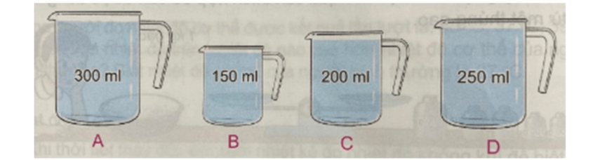 Hình minh hoạ câu 12 Hình minh hoạ câu 12