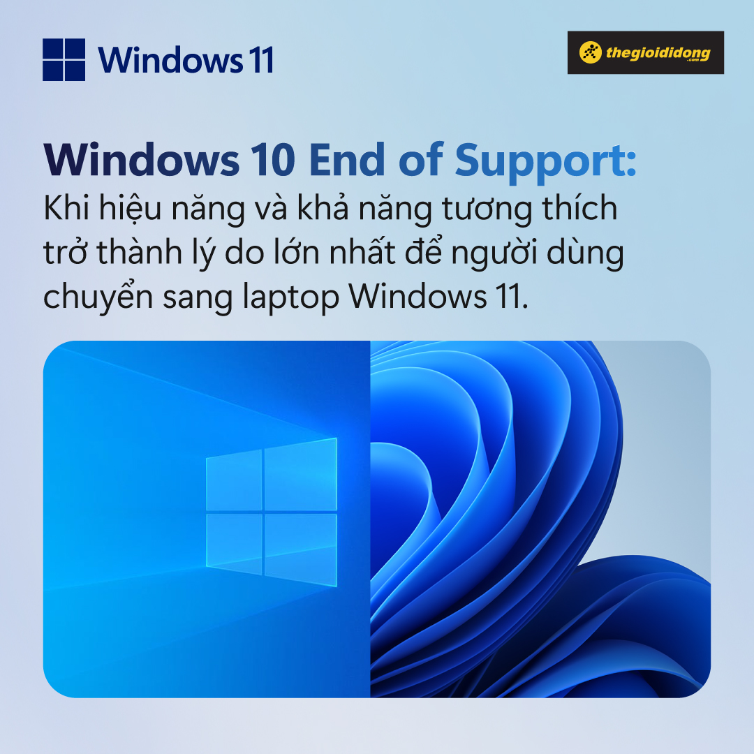Windows 11