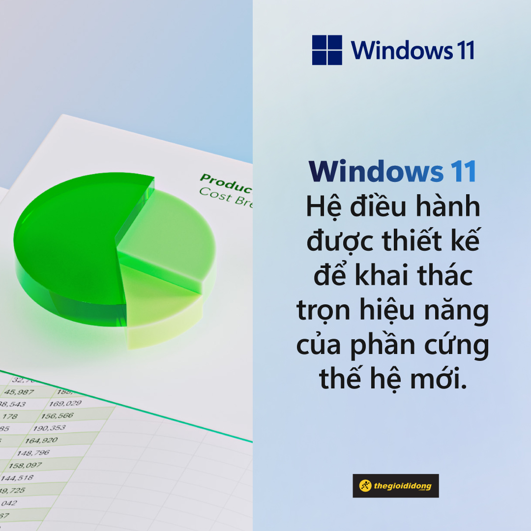 Windows 11